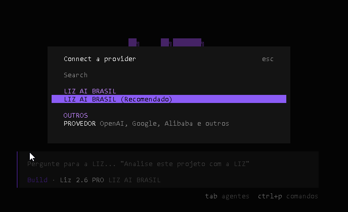 LIZ CLI Connect Step 2