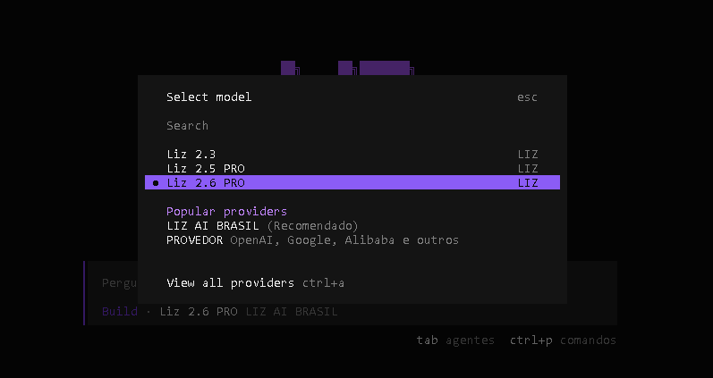 LIZ CLI Model Confirmation